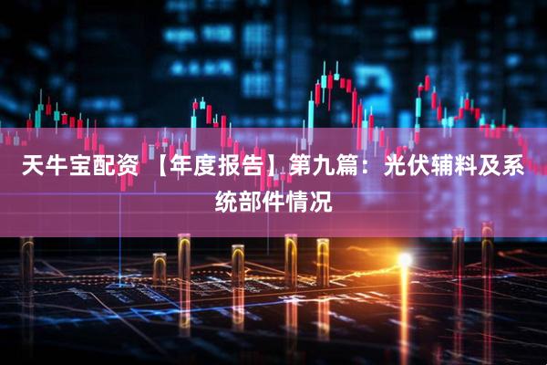 天牛宝配资 【年度报告】第九篇：光伏辅料及系统部件情况
